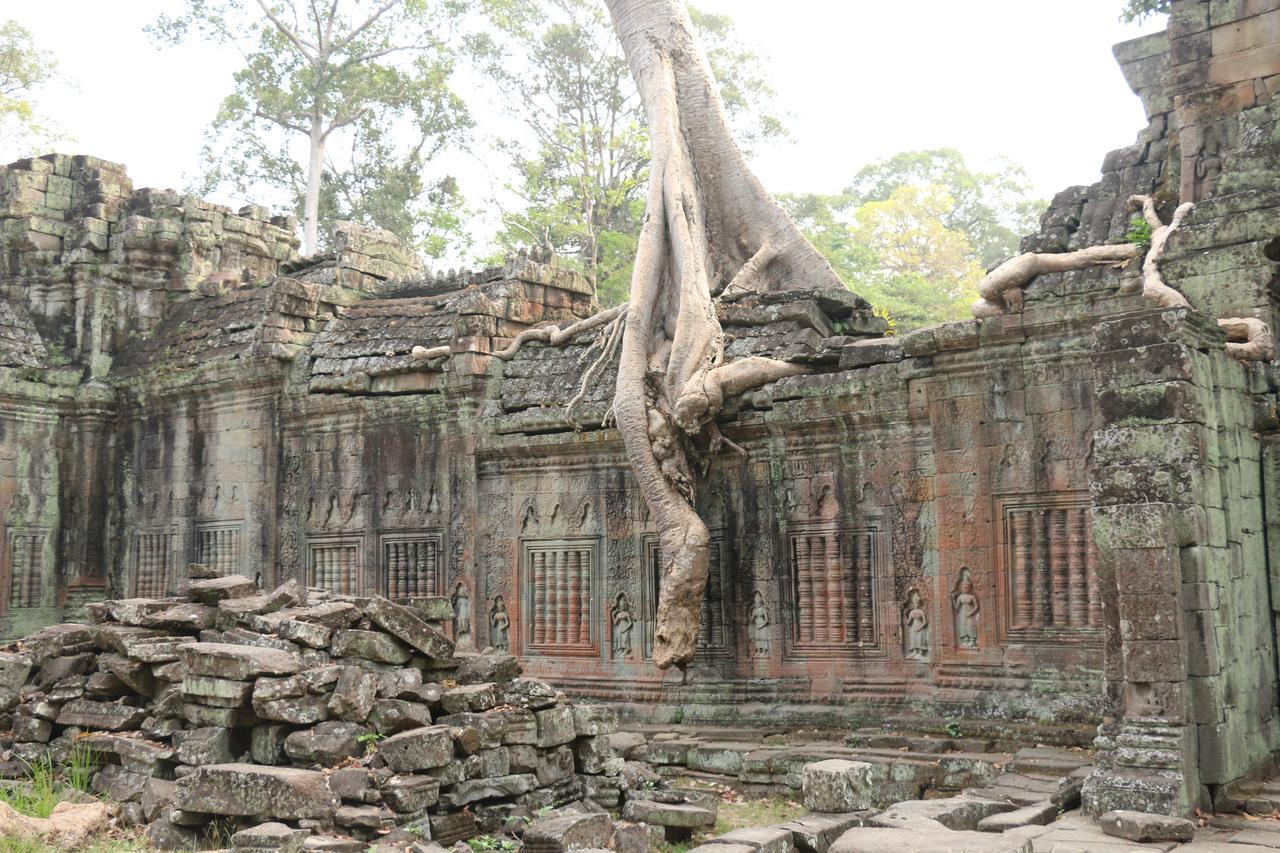 Vilada Angkor Boutique 시엠리아프 외부 사진