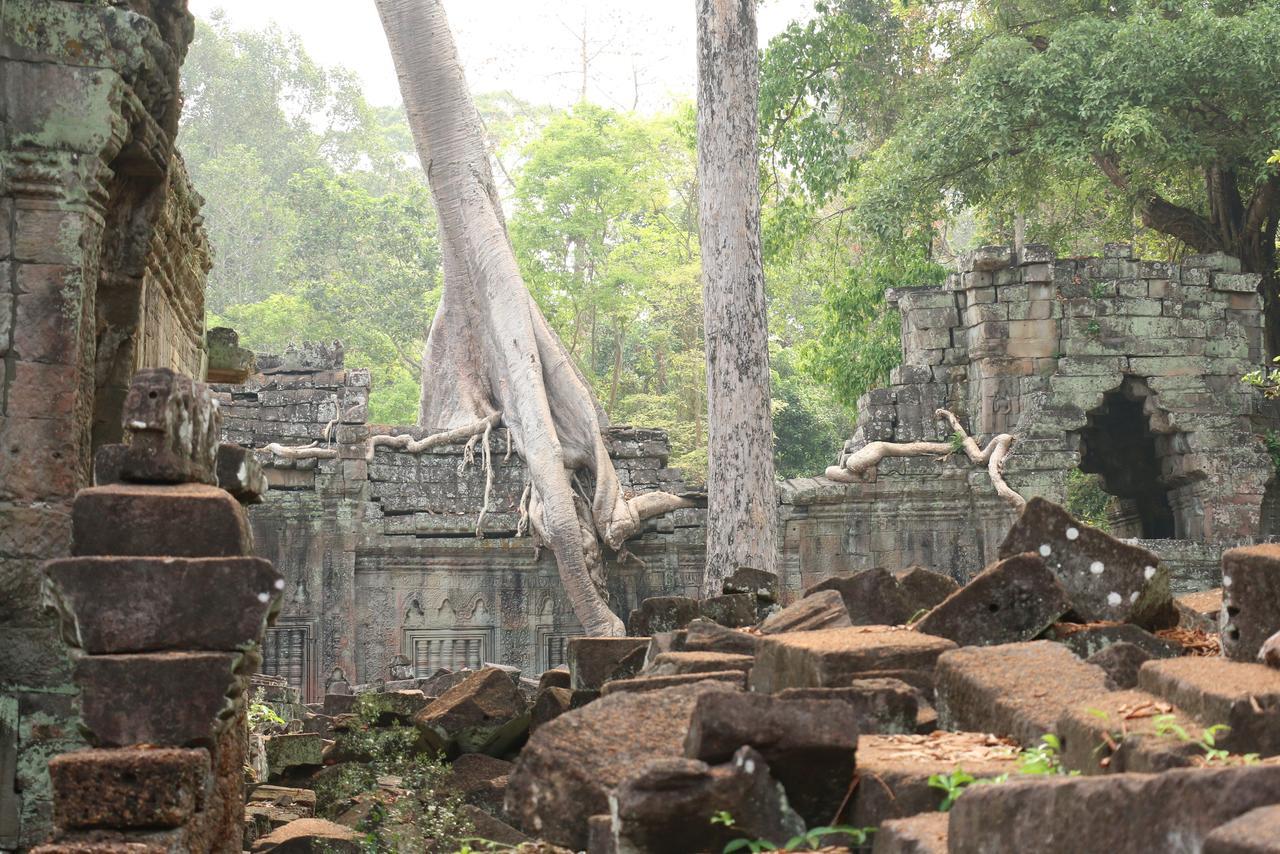 Vilada Angkor Boutique 시엠리아프 외부 사진